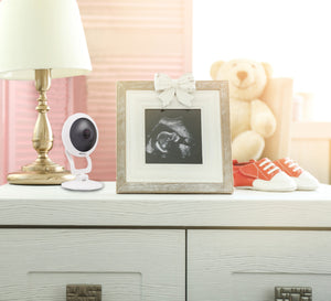 Vivitar 360 View Smart Home Camera