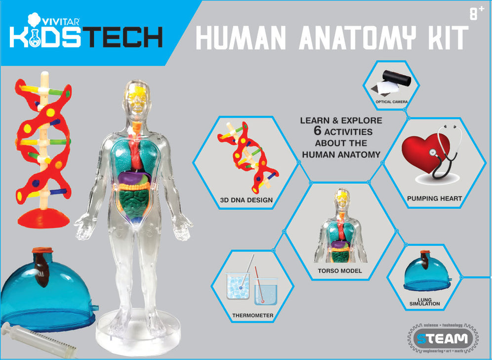 Human Anatomy Kit — Vivitar.com